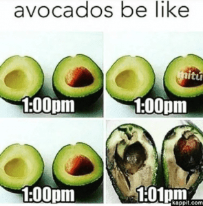 Mastering Social Media: 4 Essential Strategies for Posting Engaging Content 1 avocado meme