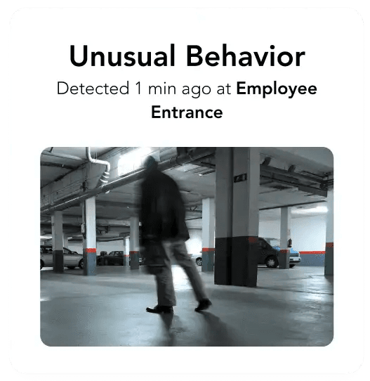 rhombus notifications 0008 Unusal Behevior 1